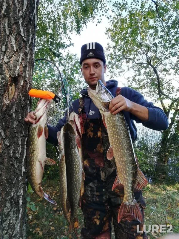 Щука — Щара, 30 сент. 2018 г.