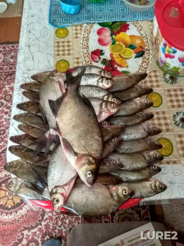 Лещ — Гать, 24 июл. 2018 г.