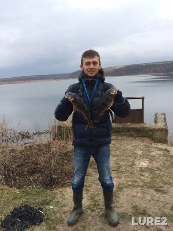 Окунь