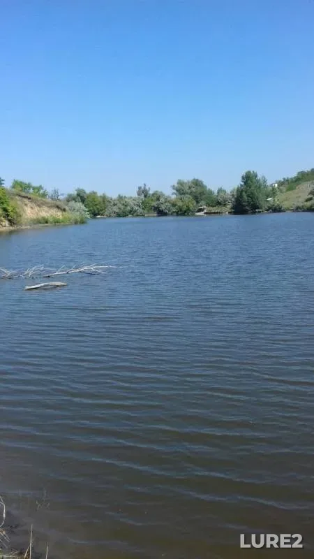 Карп