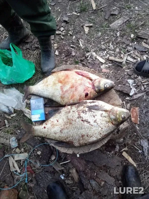 Лещ