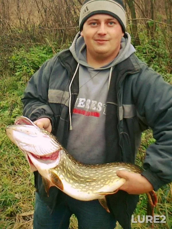 Щука