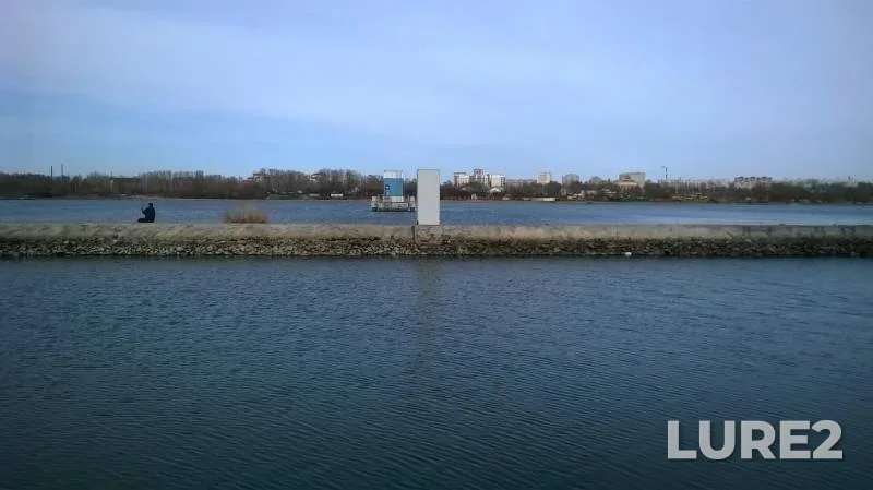 Карась