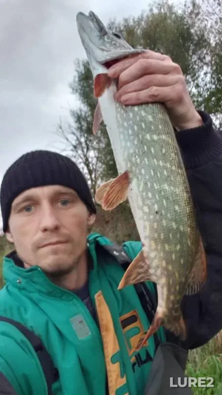 Щука — Днепр, 11 окт. 2019 г.