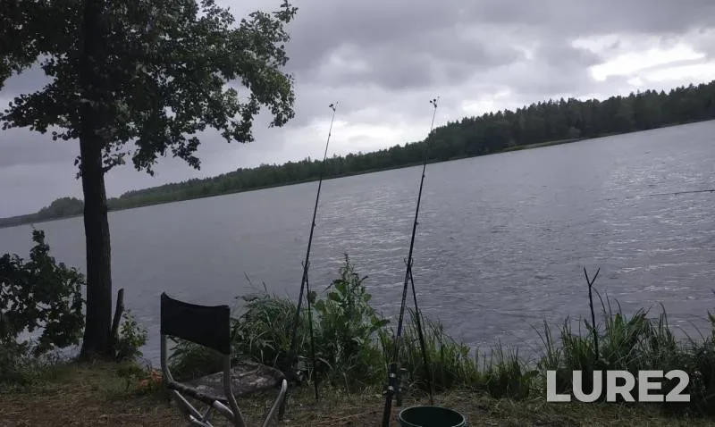 Лещ — Ореховское, 04 июл. 2019 г.