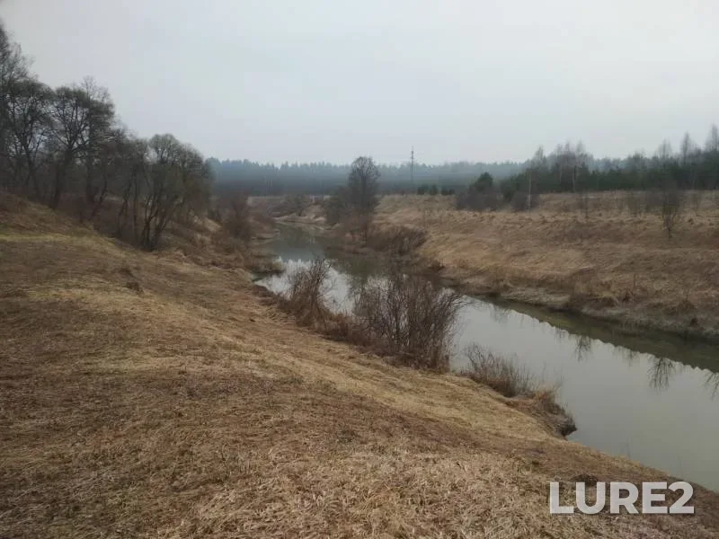 Окунь