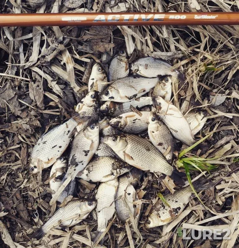 Карась — Хотынь, 07 апр. 2019 г.