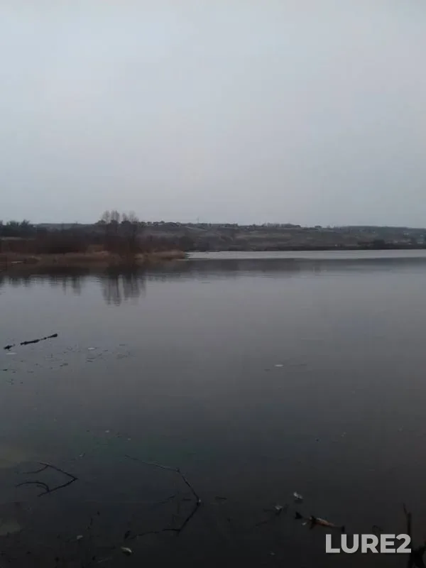 Щука