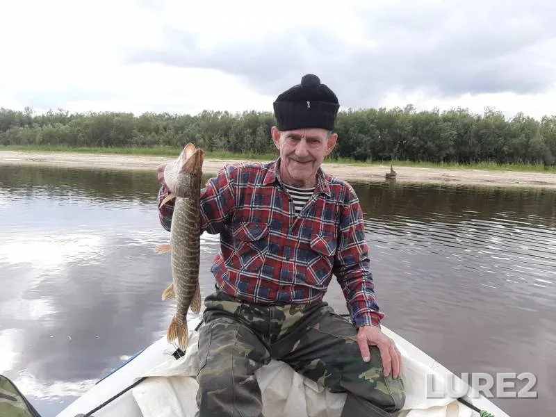 Щука