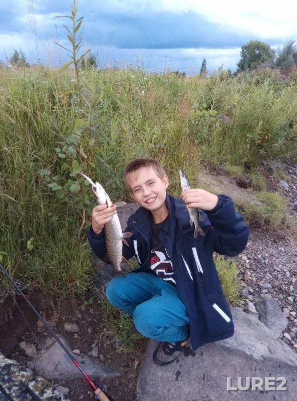 Щука