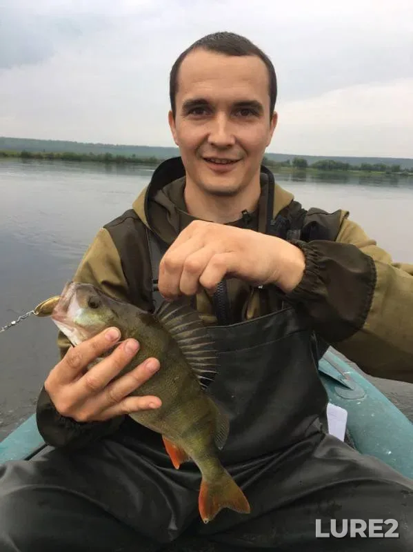 Окунь