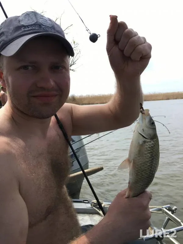 Карась