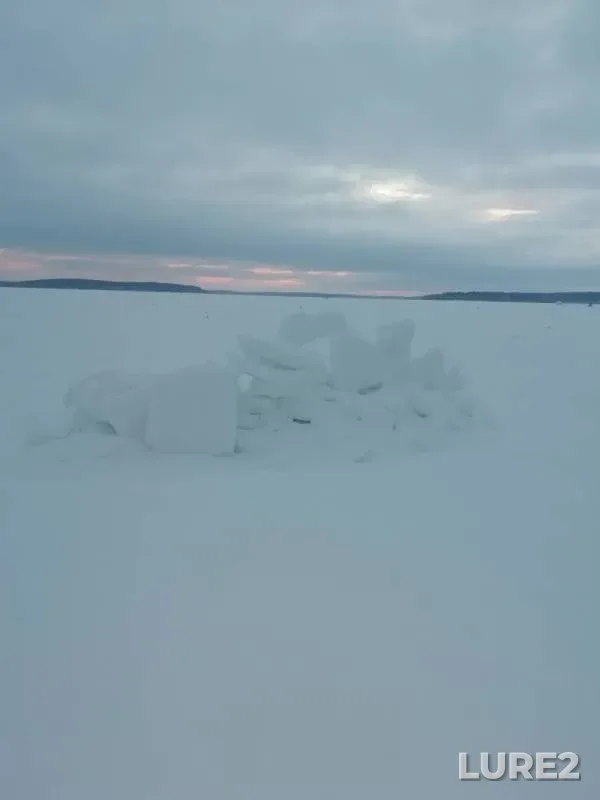 Лещ, Окунь