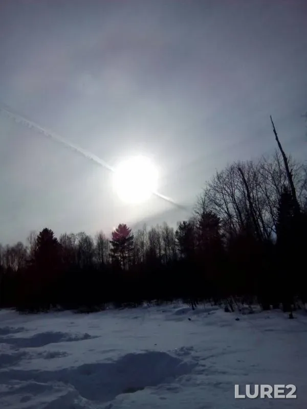 Окунь