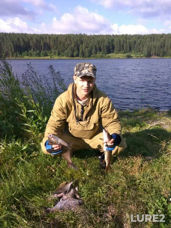 Лещ, Щука