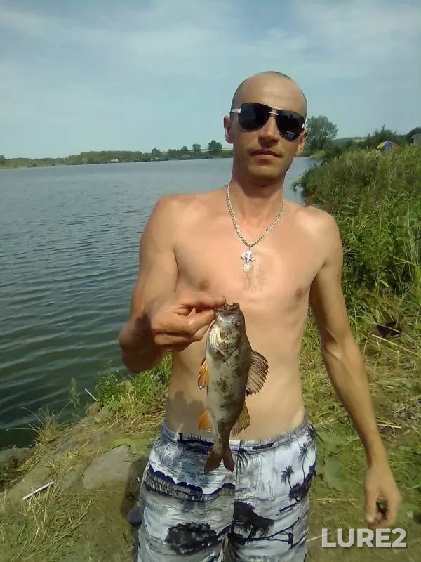Окунь