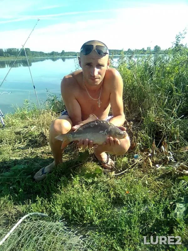 Карп