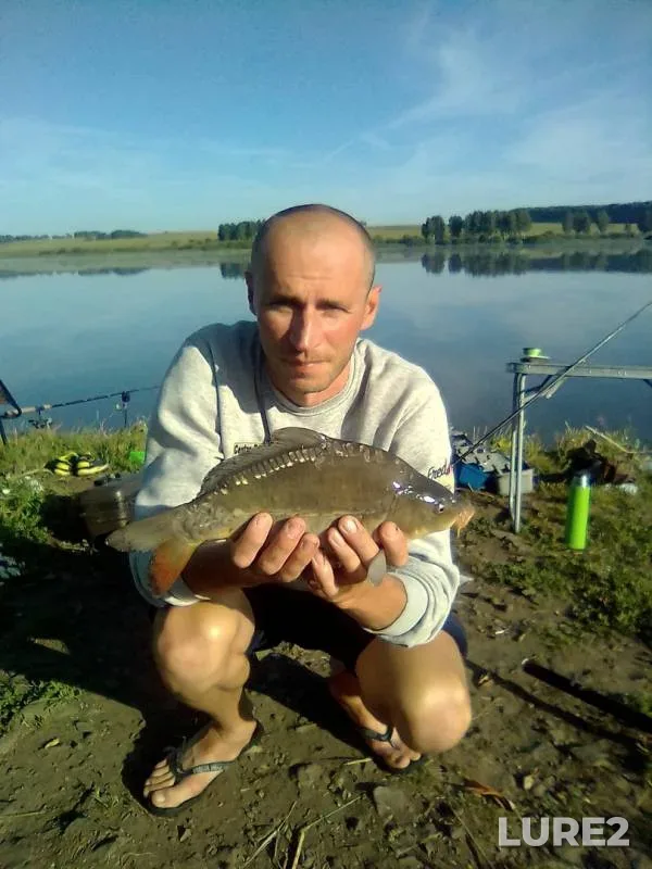 Карп