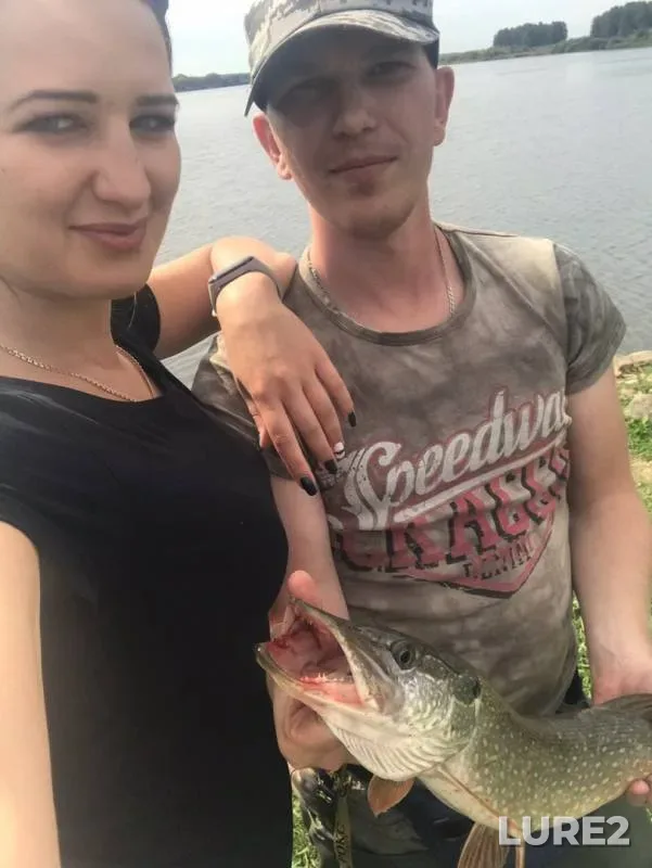 Щука