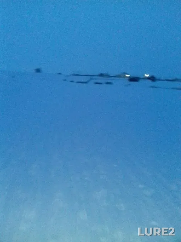 Окунь, Щука