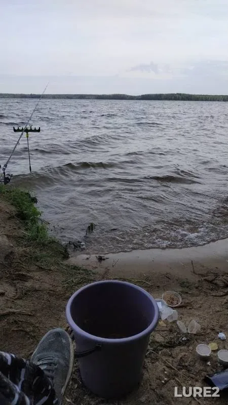 Лещ, Карась