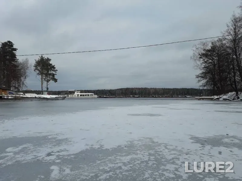 Окунь