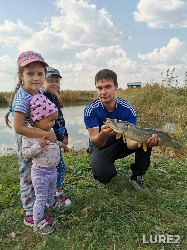 Щука — Омская область, Омский район, 15 сент. 2019 г.