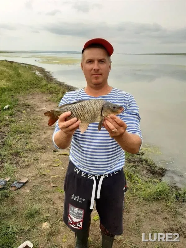 Карась