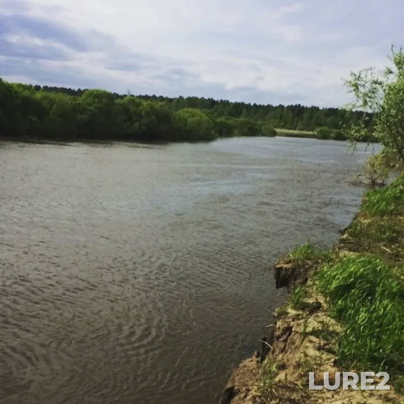 Лещ