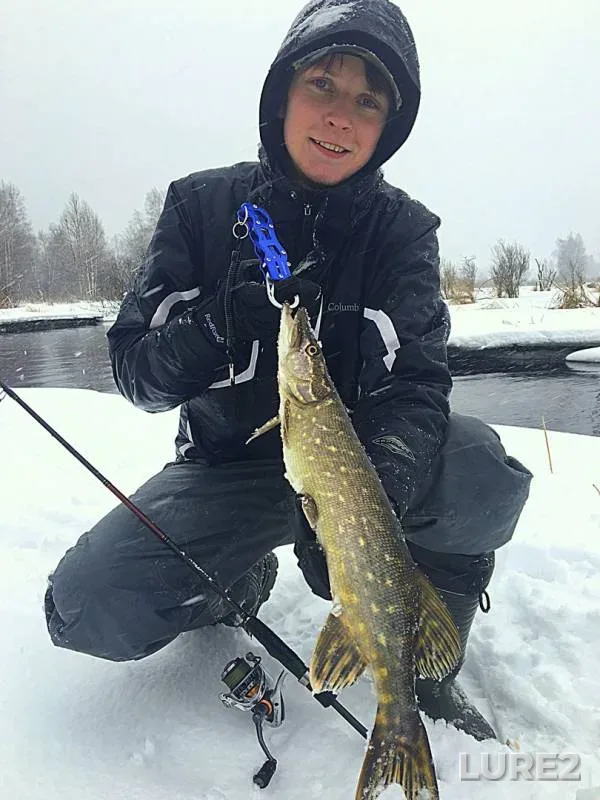 Щука
