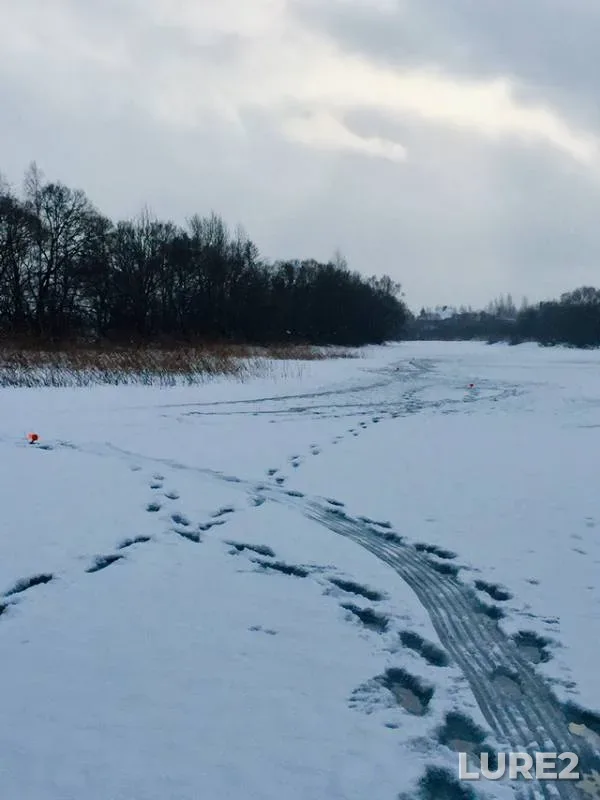 Щука — Вяча, 15 янв. 2019 г.