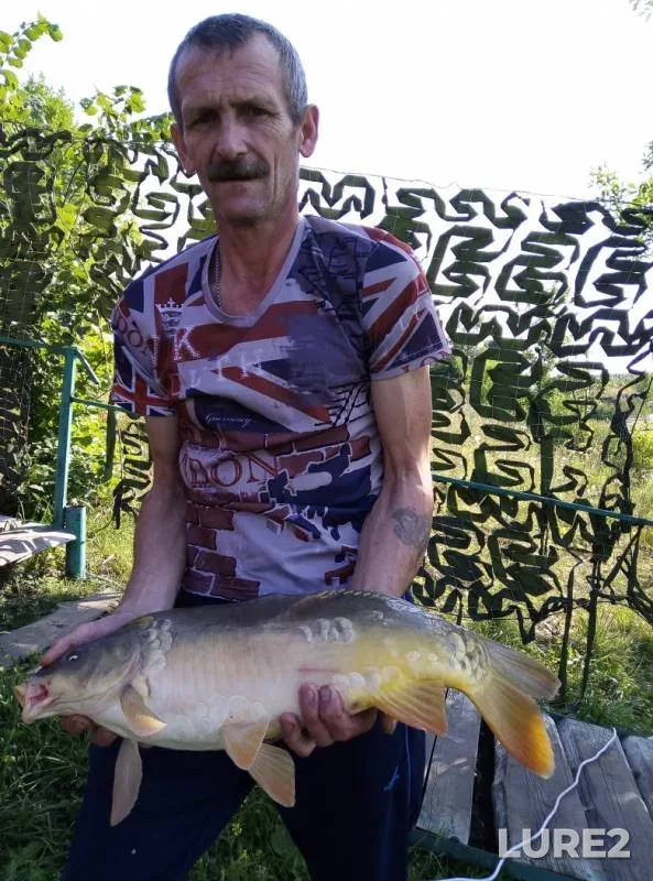 Карп