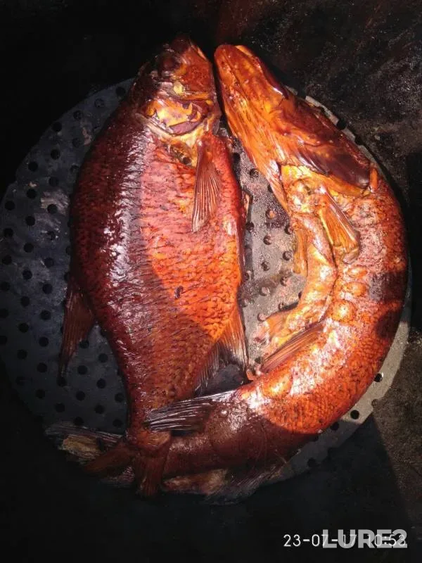 Лещ, Щука