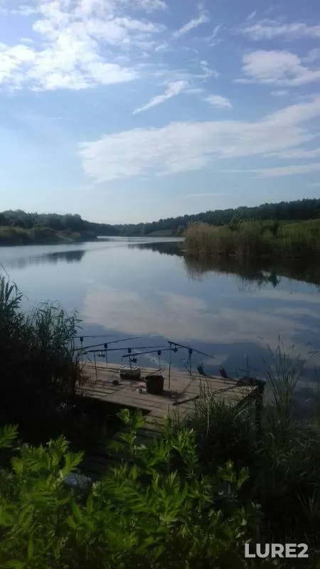 Карп, Карась
