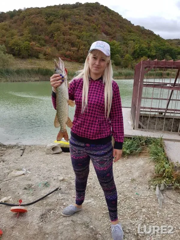 Щука