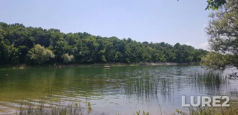 Окунь, Щука