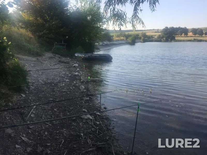Карась