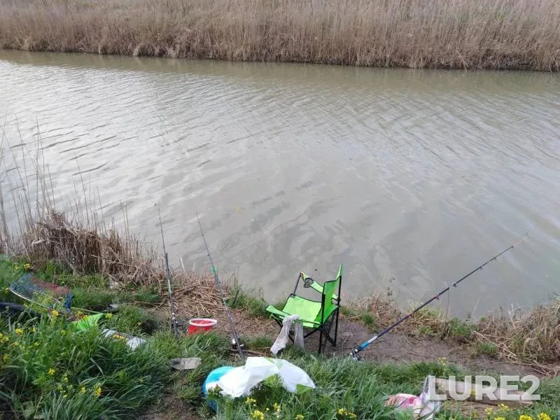 Карась — Краснодарский край, Темрюкский район, 17 апр. 2019 г.