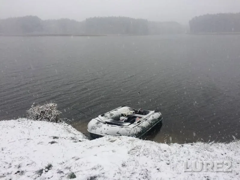 Щука