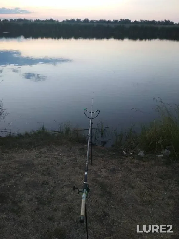 Карась