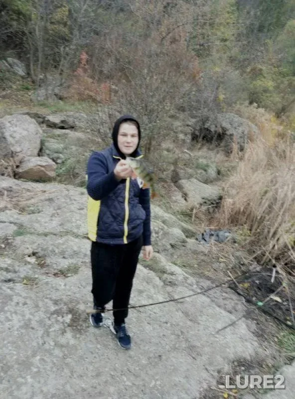 Щука