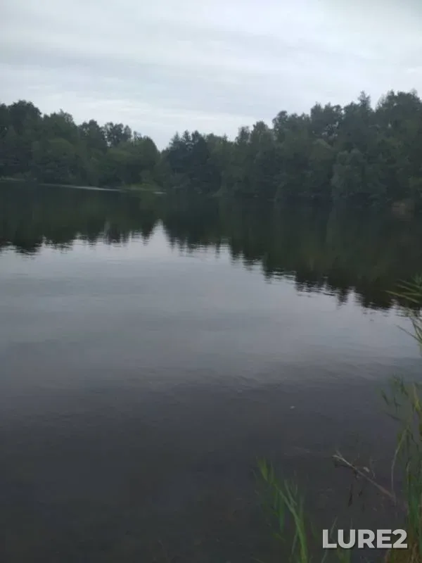 Окунь