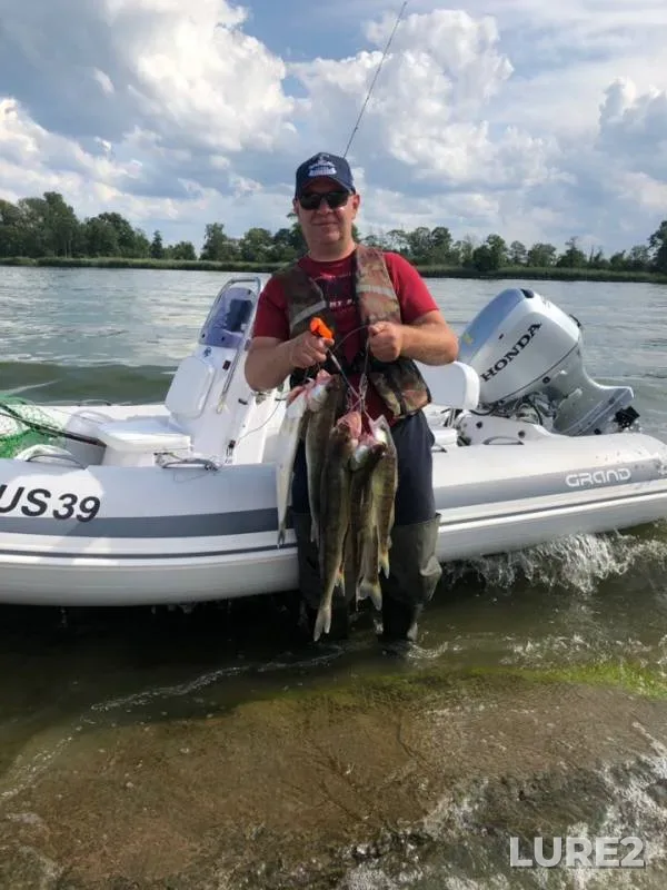 Судак — Калининградская область, 17 авг. 2019 г.