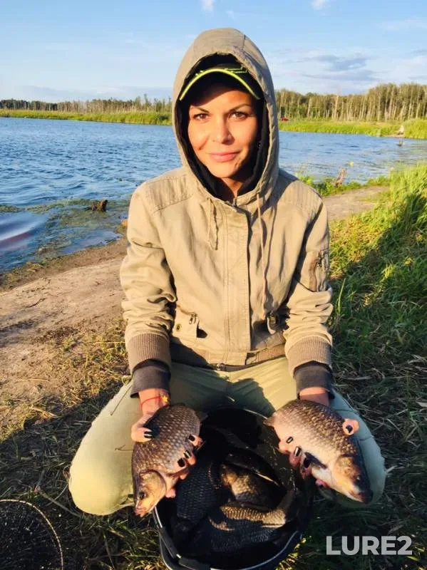 Карась