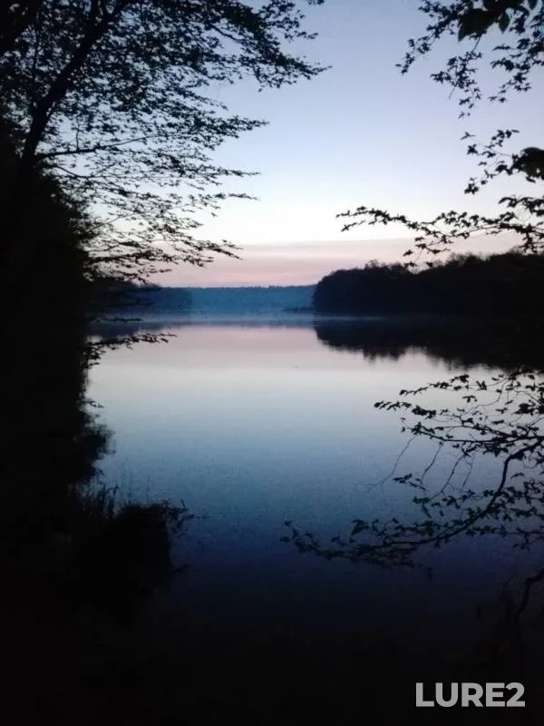 Лещ