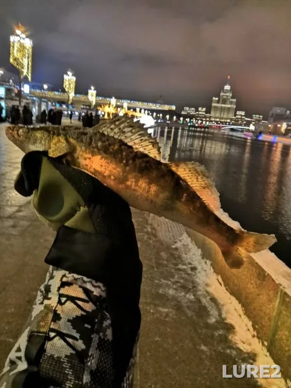 Судак