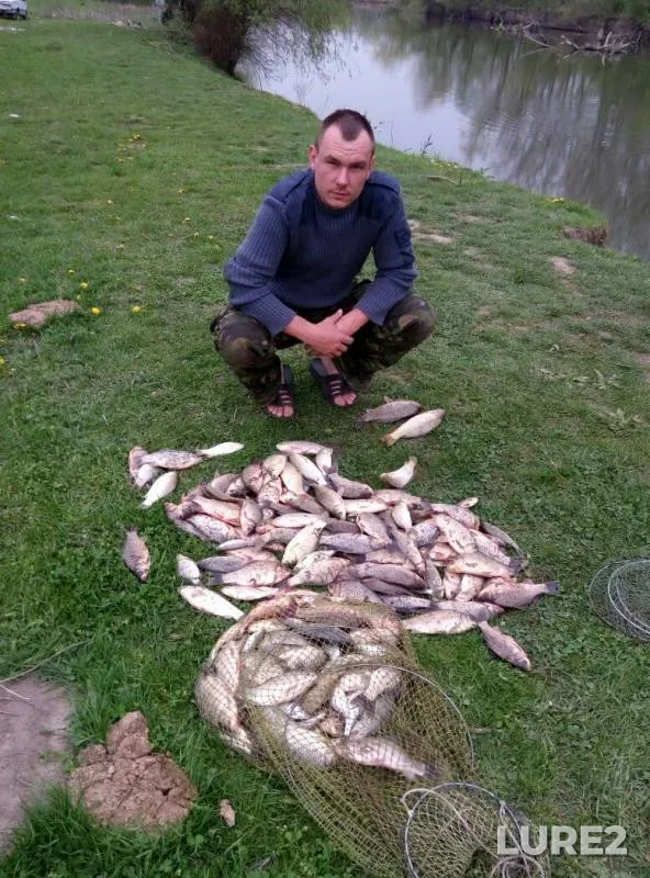 Карась
