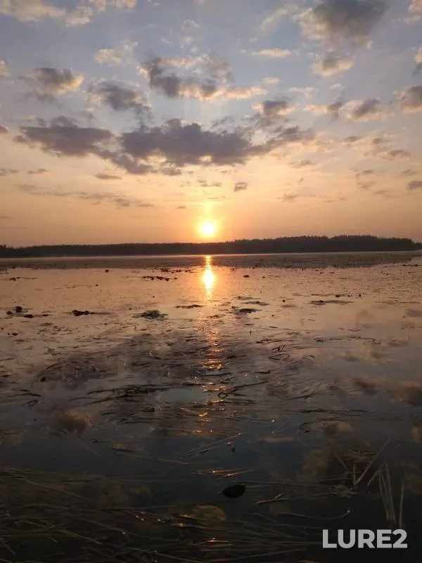Карась