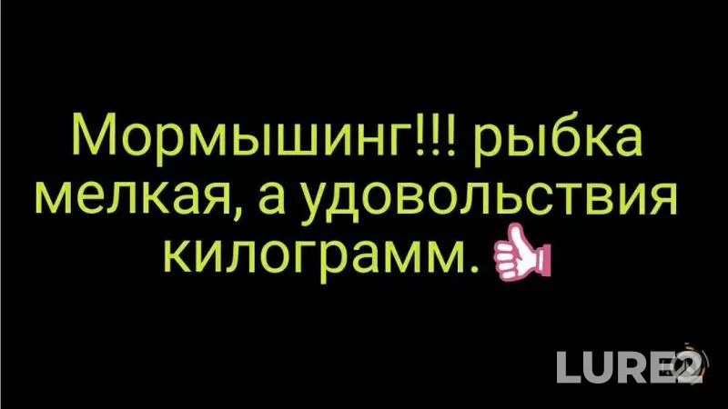 Окунь