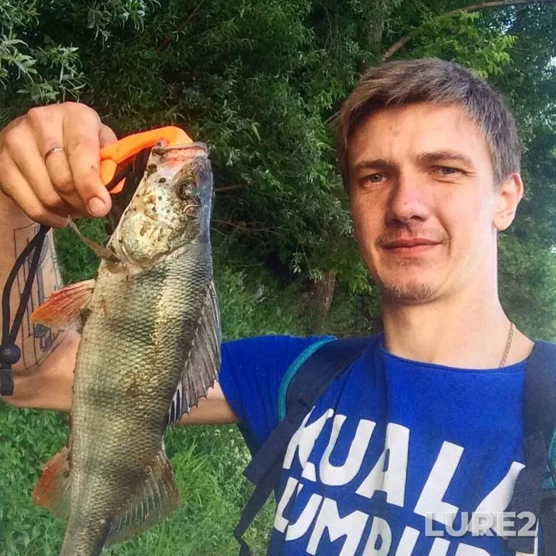 Окунь